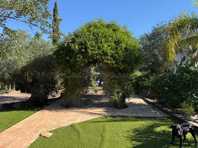Residencia singular — 5