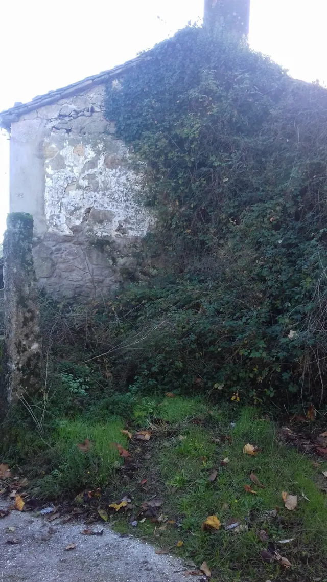 SE VENDE CASA DE PIEDRA PARA REFORMAR EN BUGALLIDO — 11