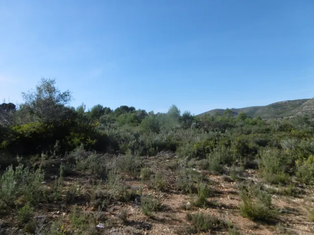MASIA PARA REFORMAR  CON ALMACENES EN UNA FINCA DE 10 HECTÁREAS — 31