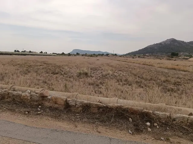 VENTA DE PARCELA EN LA ROMANA (ALICANTE)