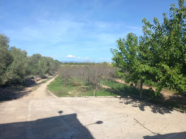 OCASION FINCA RUSTICA DE REGADIO CON VIVIENDA A 1,5 kM. DE MORA D´EBRE — 17