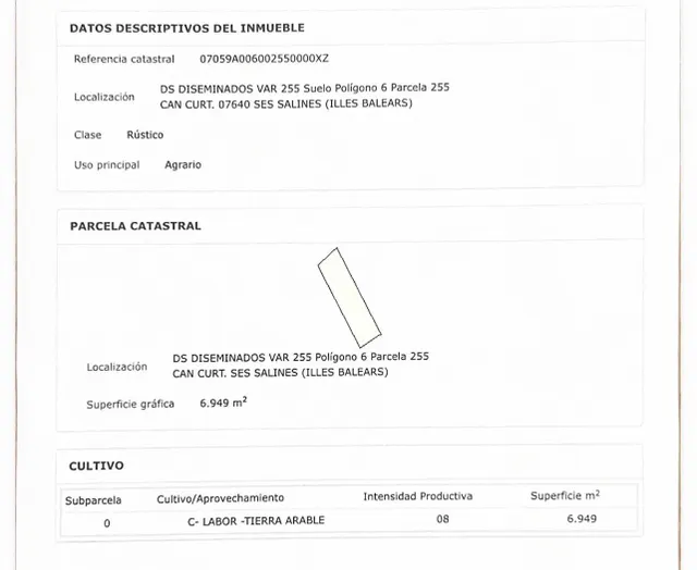 Gran parcela urbanizable en Campos — 12