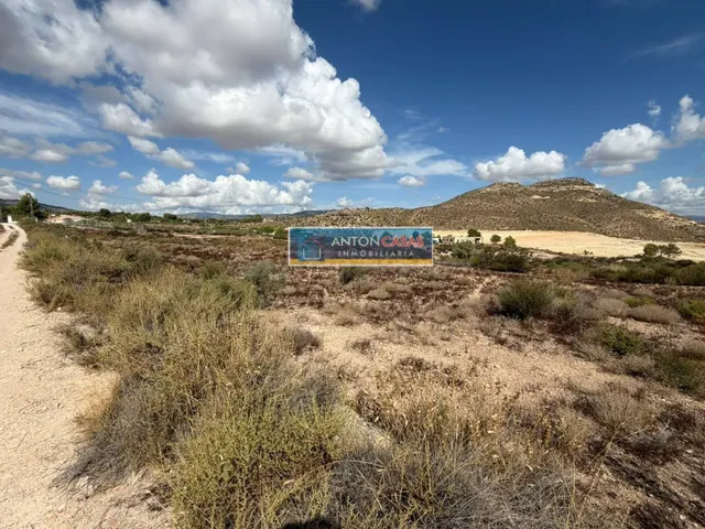TERRENO EDIFICABLE EN PARTIDA FUENTE LA REINA – NOVELDA - foto 3