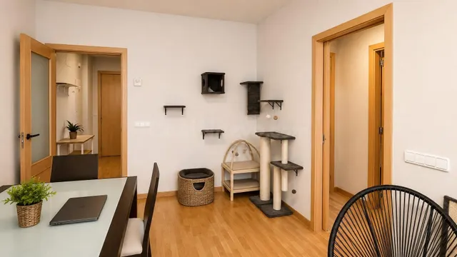 Vive en Girona o hazlo rentable: 80 m2 + parking - foto 5