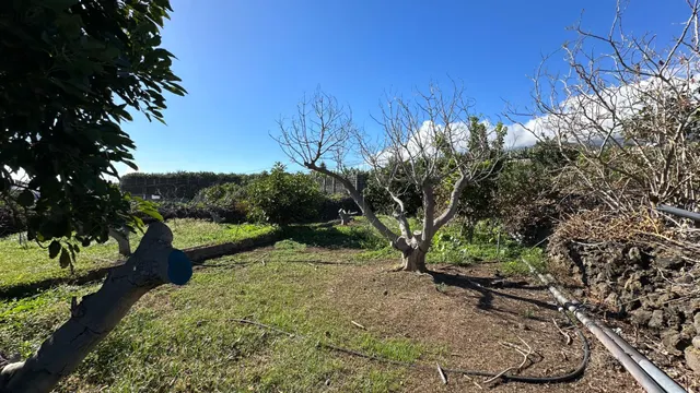 OPORTUNIDAD ÚNICA: GRAN FINCA DE 31.000 M2, secciones URBANA, RÚSTICA, ASENTAMIENTO RURAL Y AGRÍCOLA — 32