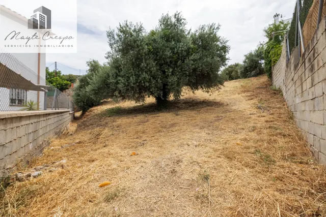 GRAN FINCA URBANA EN NIVAR! — 13
