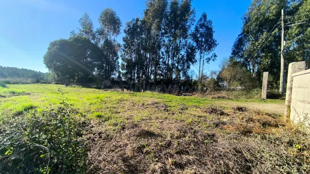 Parcela edificable con cierre de piedra y todos los servicio
