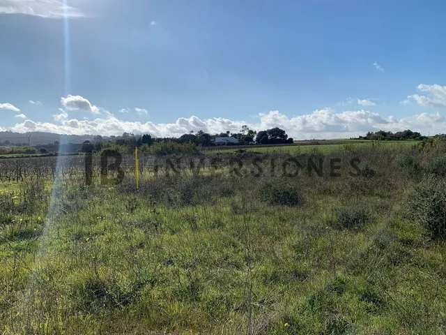 Terreno rural en venta - Manacor Centro - foto 4
