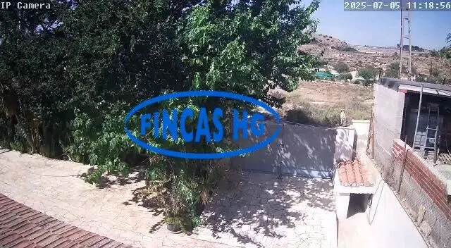 Típica casa tradicional de campo situada sobre terreno URBANO!  de 3900m2 — 6