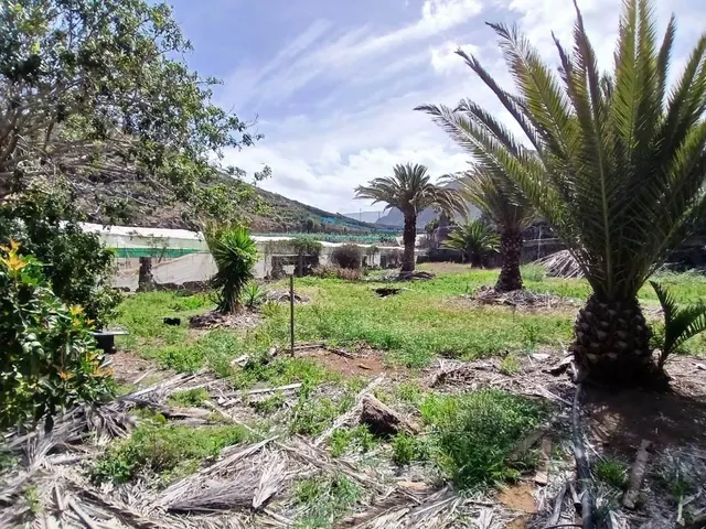 Casa con finca en Buenavista del norte — 8