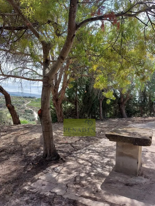 Espectacular Finca en Venta en Bèlgida — 26