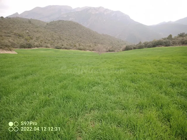 IMPRESIONANTE FINCA! Fantástica Finca en Ager de 110.000 m2