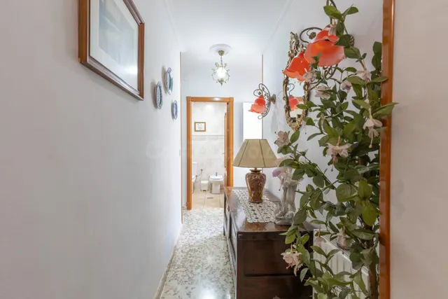 Casa en planta baja con cuatro naves y local — 34