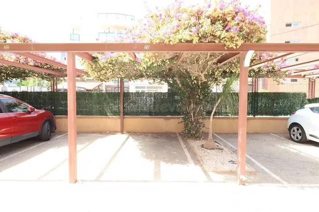 Apartamento 2 habitaciones 89m² en venta - Cabo Roig — 16