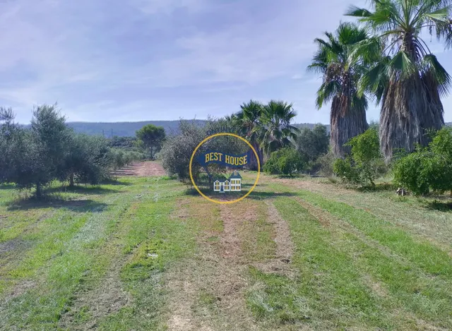 TERRENO CON POSIBILIDAD DE CONSTRUIR DOS CASITAS DE CAMPO MUY CERCA TÉRMINO AGULLENT — 2
