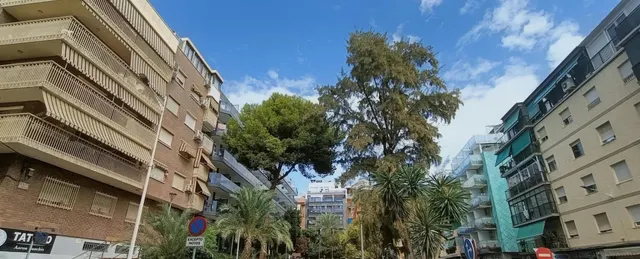 MAGNIFICO PISO DE TRES DOMITORIOS Y DOS BAÑOS REFORMADO CERCA DEL MAR — 35