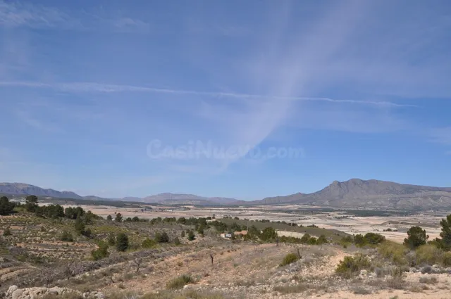 Parcela 400m² en venta - Jumilla - foto 4