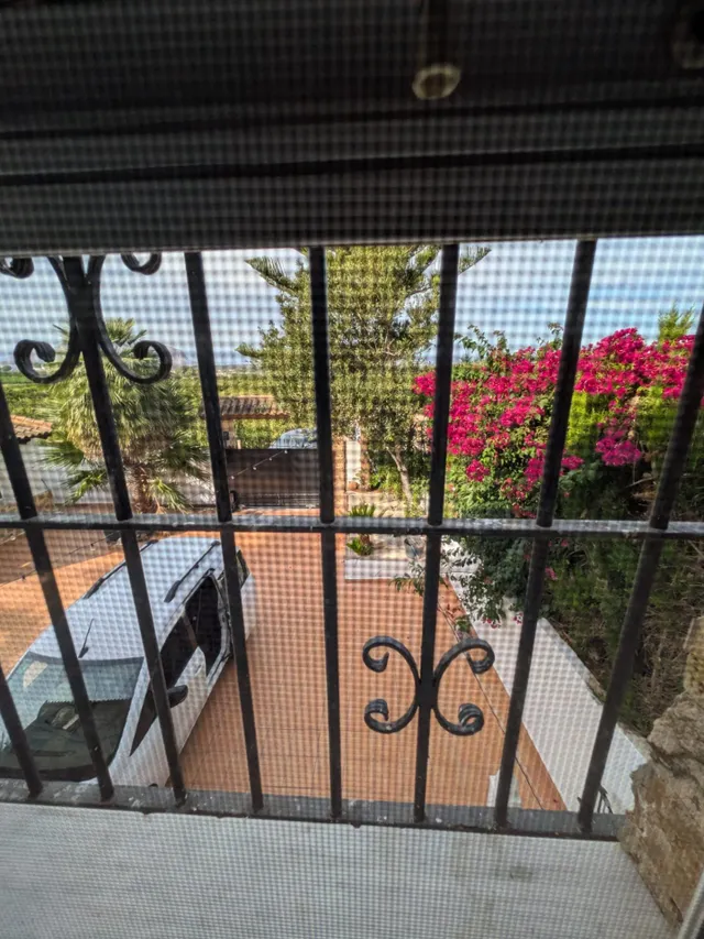 ESPECTACULAR FINCA CON CASA, PISCINA PRIVADA Y PLANTACIÓN DE LIMONEROS EN JACARILLA — 42