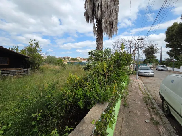 Casas Nuevas TODA en Planta Baja en Les Peces d'Albinyana — 19