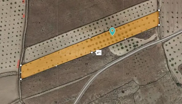 Parcela 400m² en venta - Jumilla - foto 3