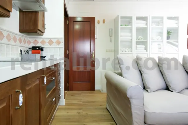 Loft 1 habitación 44m² en alquiler - Centro — 6
