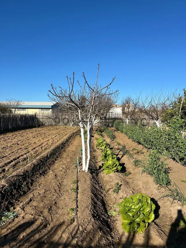 PARA LOS AMANTES DEL CAMPO Y NATURALEZA — 3