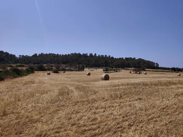Terreno rural en venta - Porreres - foto 4