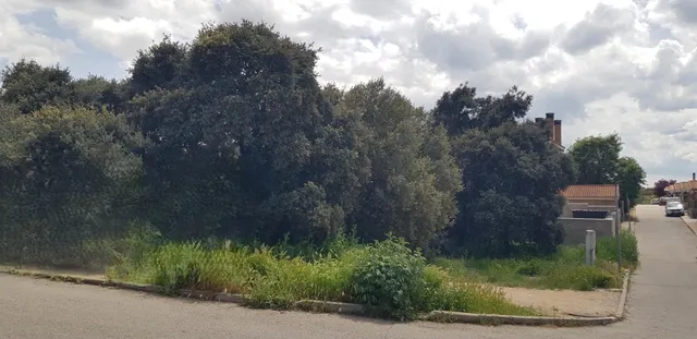 PARCELA DE ESQUINA EN PIOZ — 6