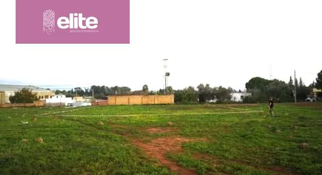 PARCELA URBANA NO CONSOLIDA EN PINO SOLETE - foto 2
