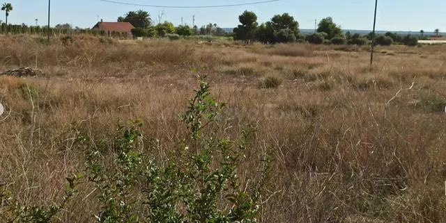 Finca en las bayas - foto 2