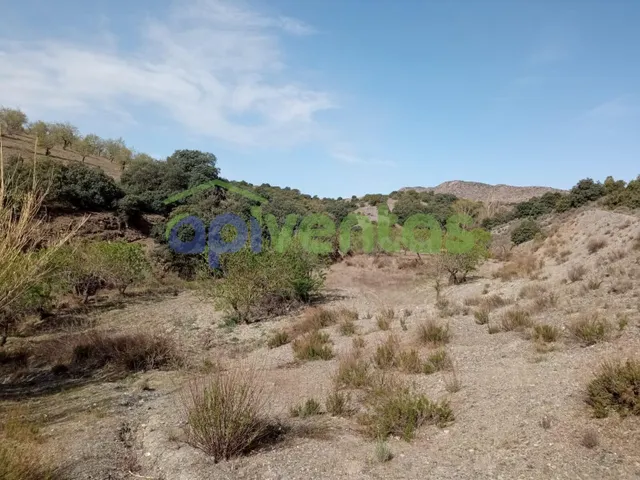 11Hectareas de terreno , vivienda y agua - foto 2