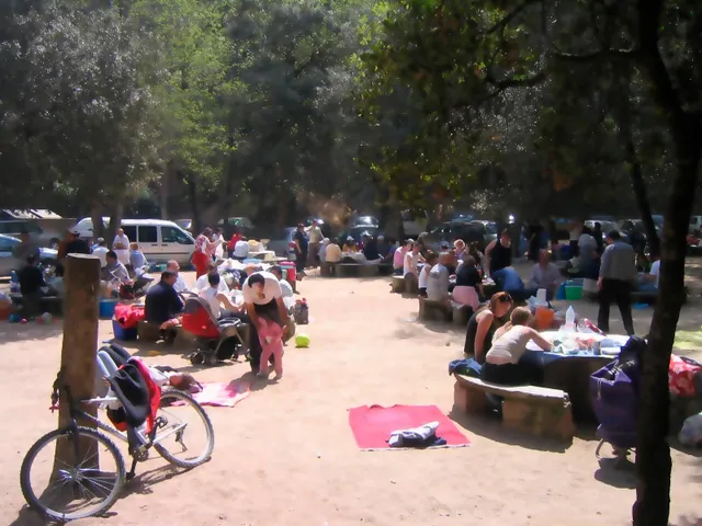 Finca rústica de 9 hectáreas en Arenys de Munt — 18