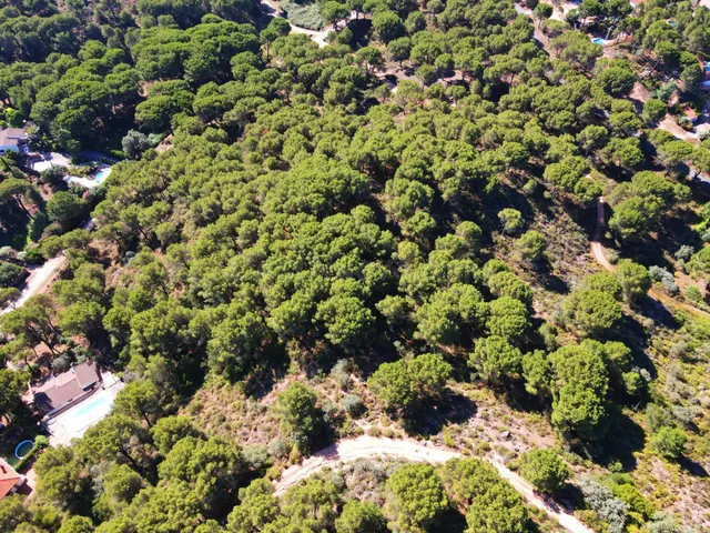 ¡¡PARCELA URBANA EN LAS JARAS!!! - foto 2