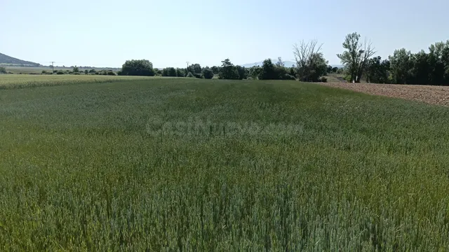 Finca rústica en Ibeas de Juarros - foto 2