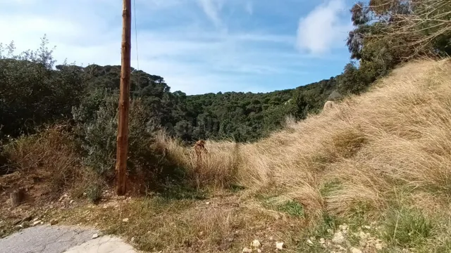Excelente Terreno en Serra Brava de 800 metros cuadrados con - foto 2