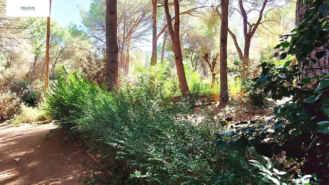 Chalet en los Pinares del Júcar — 15