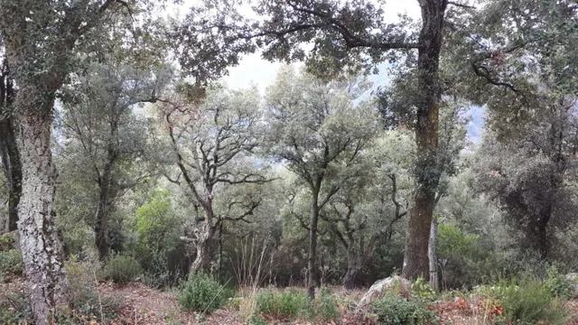 Terreno en venta Fogueres de Montsoriu — 2