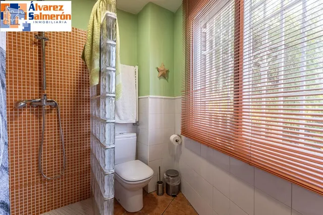Chalet en los Chopos, Las Gabias — 14