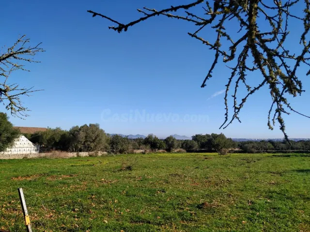FINCA RÚSTICA PERFECTA PARA CONSTRUIR - foto 5