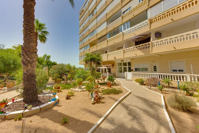 Apartamento de 1 dormitorio con parking comunitario a 240m de la Playa de La Mata — 28