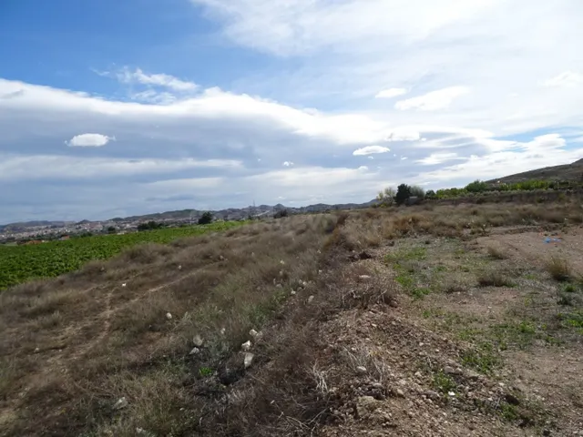 SE VENDE TERRENO EN LA ZONA DE LA HORNA EN ASPE - foto 2
