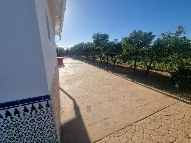 Finca rustica el pintado, Gibraleón — 40