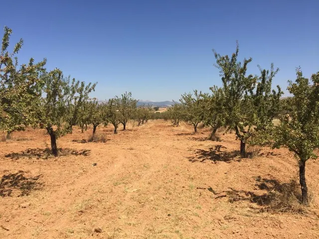 Venta de suelos urbanos sectorizados en Dílar - Granada — 6