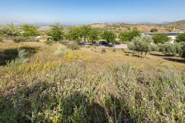 Terreno urbano en Alfacar, perfecto para inversionistas — 9