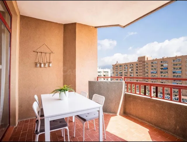 Estudio en primera línea de playa en Hotel Las Palmeras – Fu - foto 3