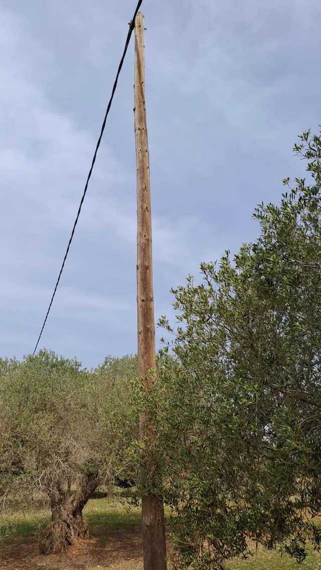 Finca rústica en venta en Constanti — 16