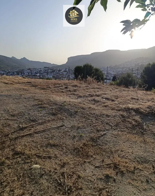 PARCELA EN LOS VILLARES - foto 2