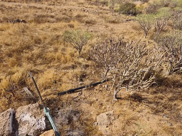 Terreno rústico agrario de 1.565 m2 en Malpaís, Candelaria - foto 3