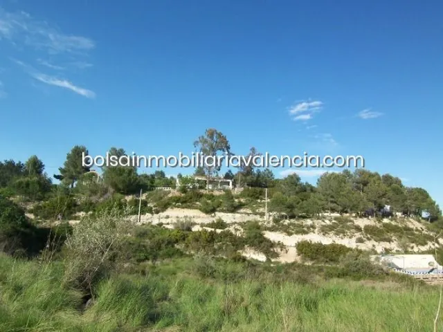 Terreno rural 8000m² en venta - La Raiosa — 15