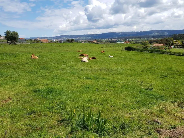 SE VENDE FINCA RÚSTICA EN CAMPELO, VALDOVIÑO - foto 2